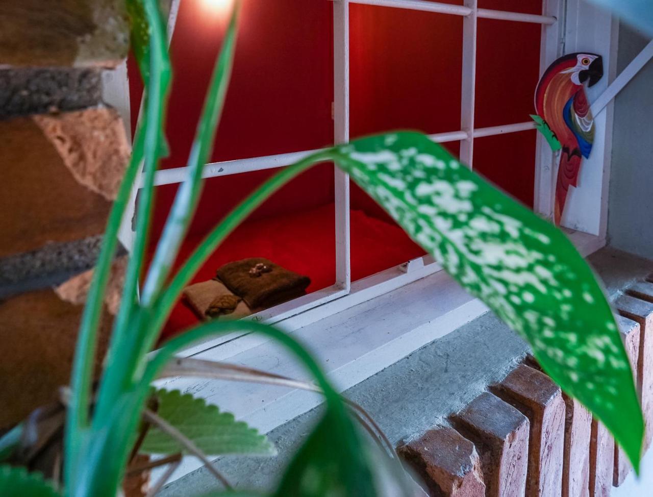 Hostel Tropico De Capricornio - Itagua Убатуба Экстерьер фото