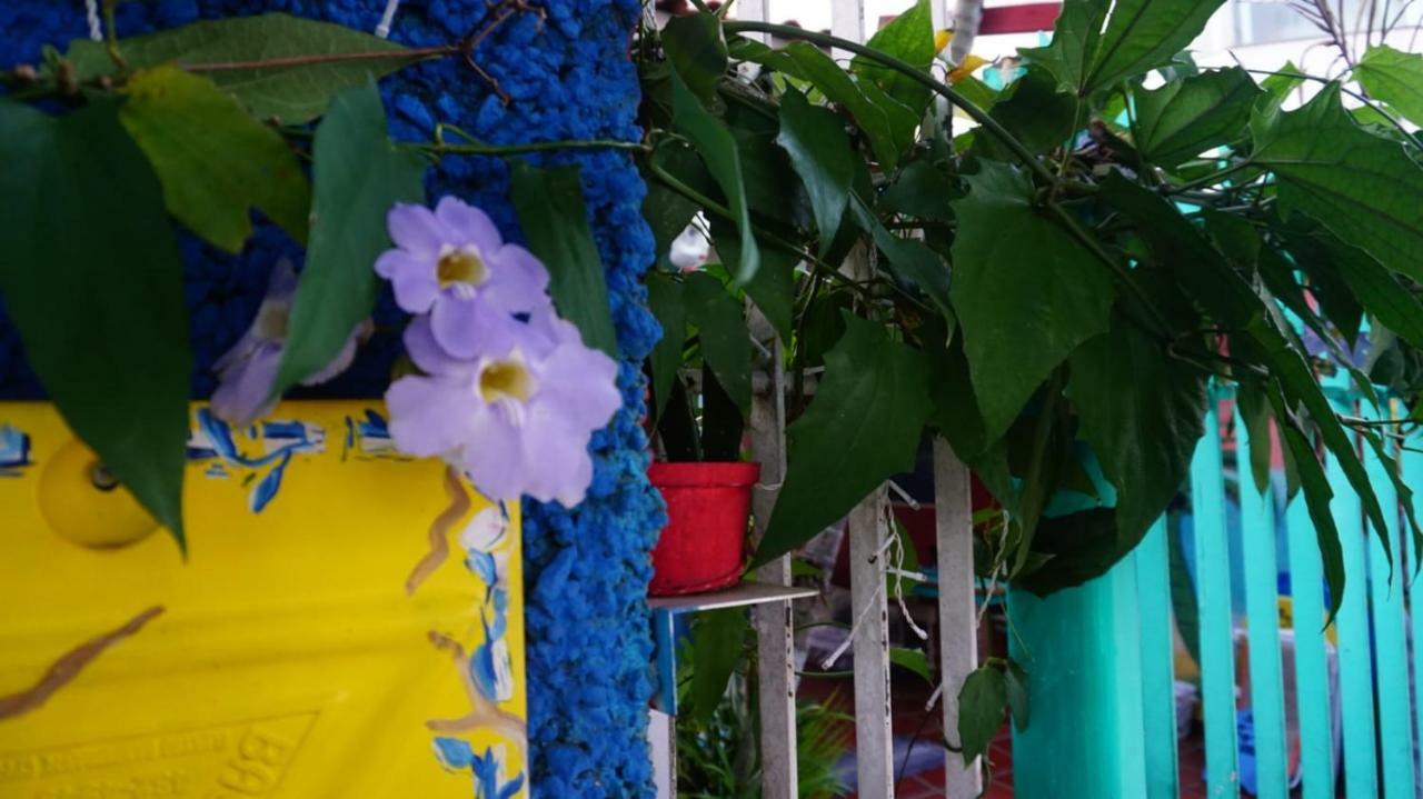 Hostel Tropico De Capricornio - Itagua Убатуба Экстерьер фото